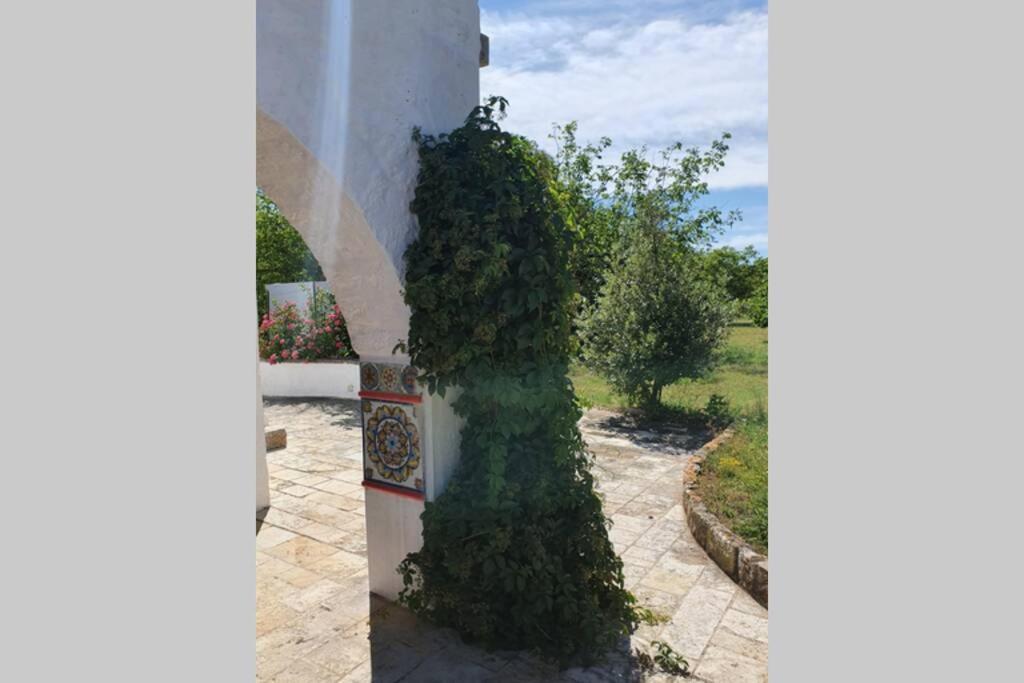 Вілла Trulli Relax A Мартіна-Франка Екстер'єр фото